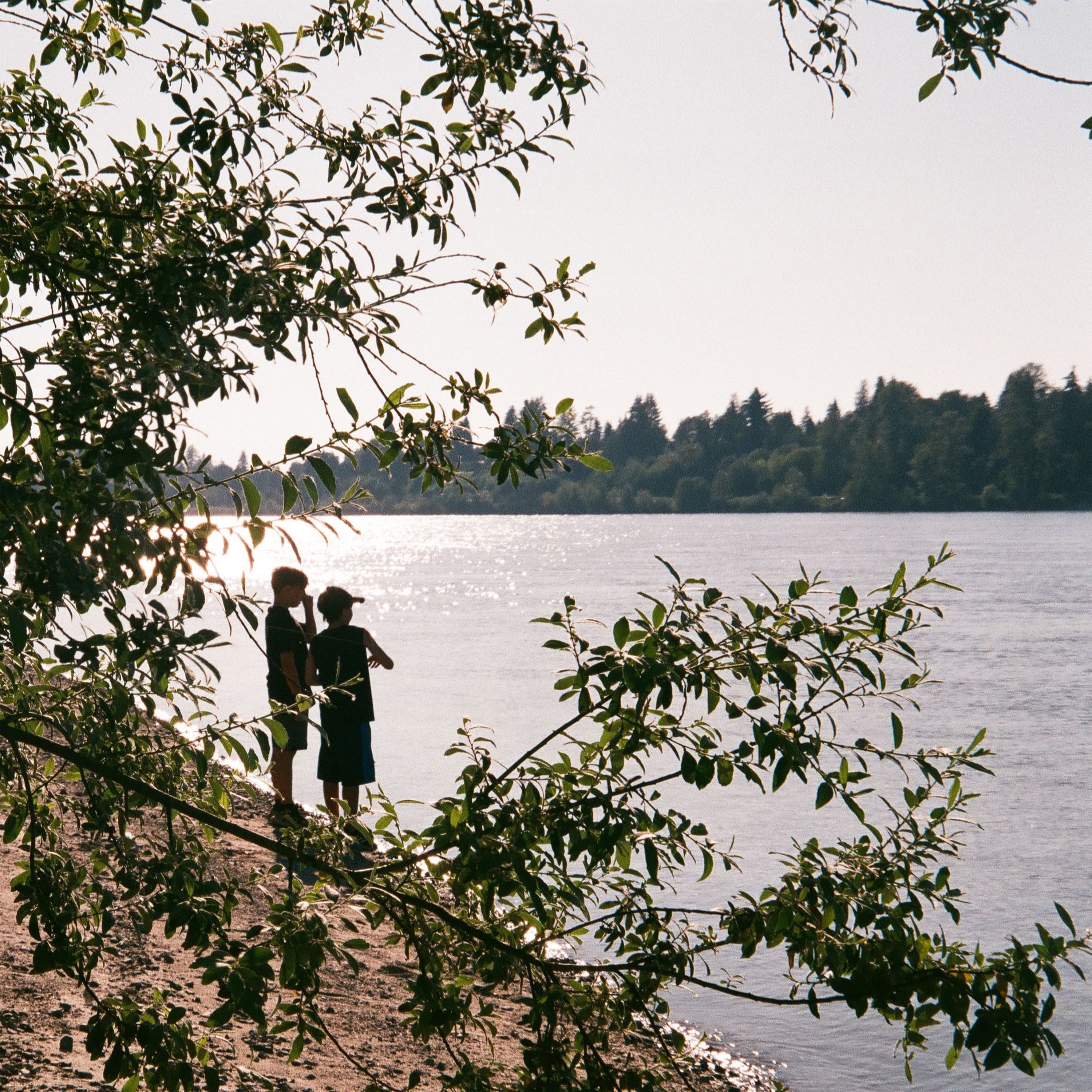 Image Cover